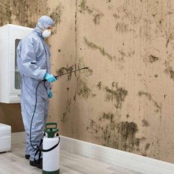 Pest Control Worker In Uniform Spraying Pesticide On Damaged Wall With Sprayer